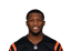 Tee Higgins