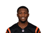 Tee Higgins