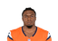 RJ Harvey