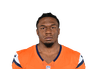 RJ Harvey